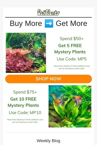 Spend $50+ ➡️ Get FREE Mystery Plants!