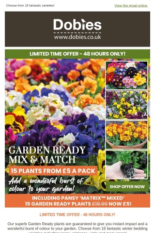 15 Garden Ready Plants FROM £5 A Pack! Mix & Match Special