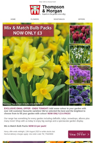 Only £3! Mix & Match Bulb Packs ENDS TONIGHT