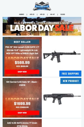 Labor Day Deals Won't Be Around Much Longer! | PSA Dagger Compact 9mm Pistol, FDE $259.99!