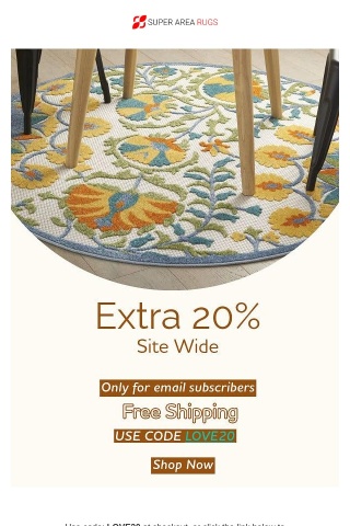 Don't miss out on our exclusive 20% discount for all rugs!