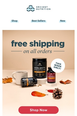 Free shipping sitewide!