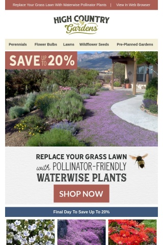 Final Day |  Up To 20% Off Waterwise Plants