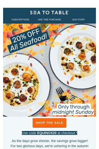 20% OFF EVERYTHING AT SEA TO TABLE 🍂