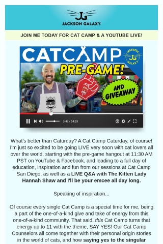 Cat Camp Is TODAY! Join me LIVE for a Pre-Game!
