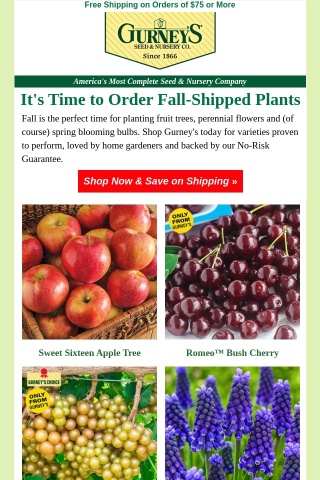 Get all your FALL shipped FREE!