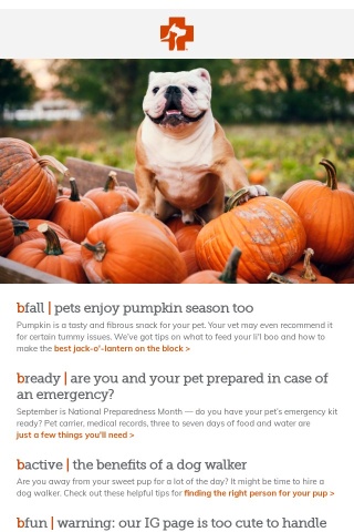 bmail: Do you have your pet emergency kit ready?