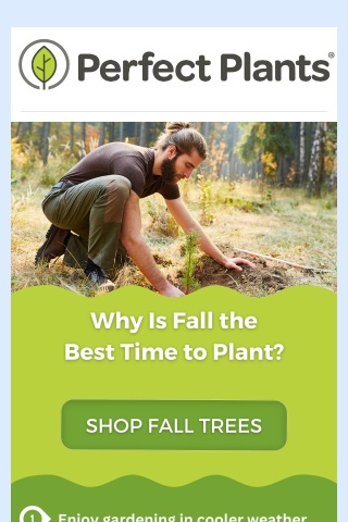 Why Is Fall the Best Time to Plant? 🍁