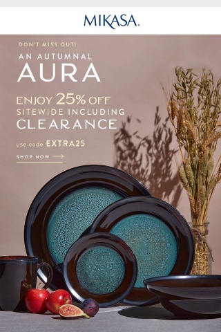 Don't Miss 25% off Including Clearance