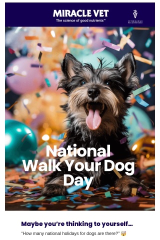 Happy National Walk Your Dog Day!