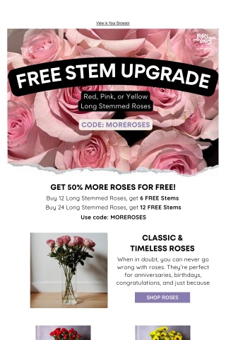 THIS WEEK ONLY: 18 Roses For The Price of 12