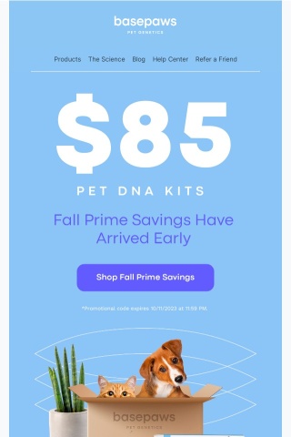 Fall Prime Savings: $85 For Pet DNA Tests 🥳