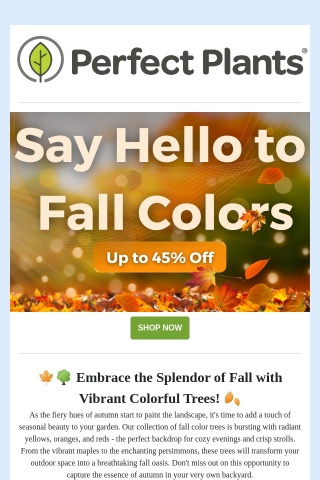 Up to 45% Off Fall Color Trees 🍂🍁