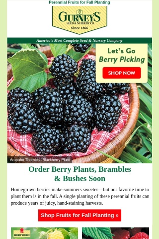 Better get your berries!