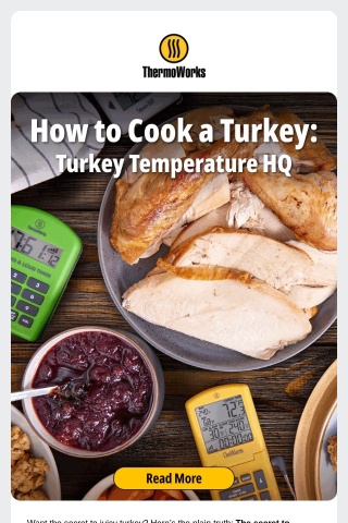 How to Cook a Juicy Turkey: Temperature & Doneness