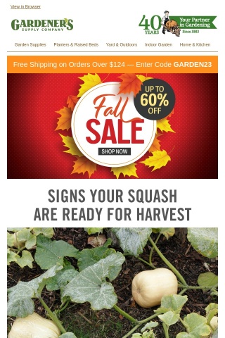 Winter Squash Advice for Hearty Harvests
