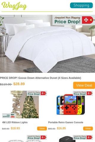 PRICE DROP! $28.89 for a Goose Down Duvet