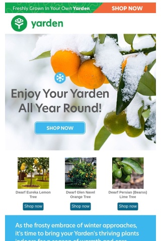 ❄️ Your Yarden Winter Wonderland: Enjoy All Year Round! 🍊
