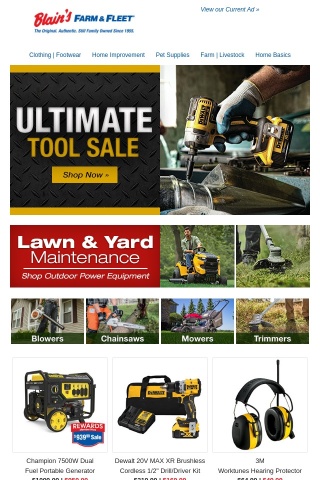Transform Your Yard + Unbeatable Tool Sale Inside!
